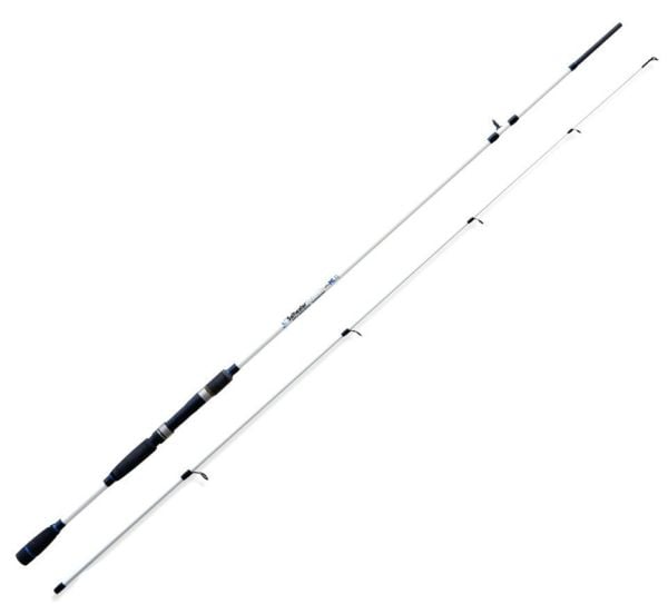 Lineaeffe Saltwater Spin 2.70Mt 60gr Spinning Kamışı