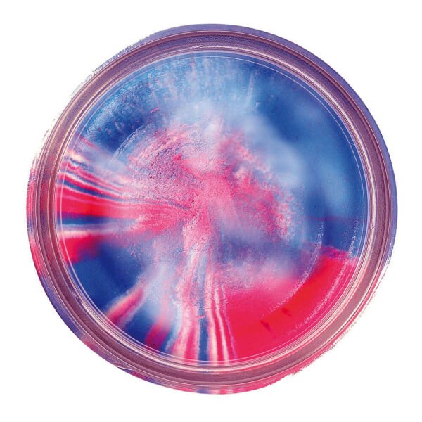 Berkley Powerbait Extra Scent Glitter Sahte Yem