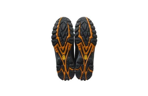 Beretta Setter Gtx Bot